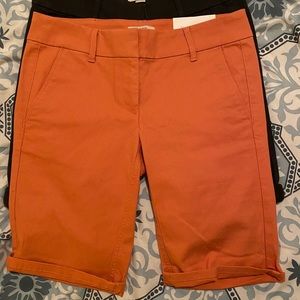 Loft Shorts (2)